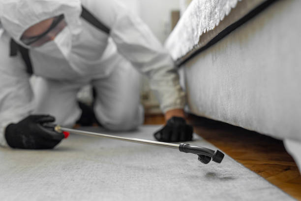 Professional Bed Bug Control technician working in Fort Madison, IA