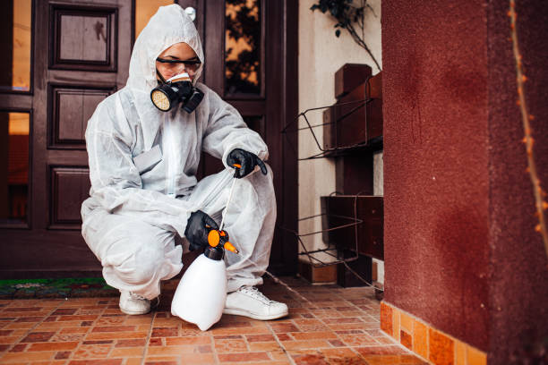 Reliable Bed Bug Control contractor in Fort Madison, IA by Nex Pest Control