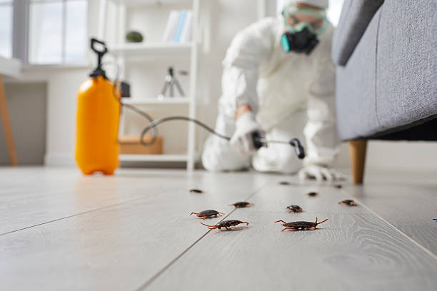 Trusted Termite Control service in Fort Madison, IA - Nex Pest Control