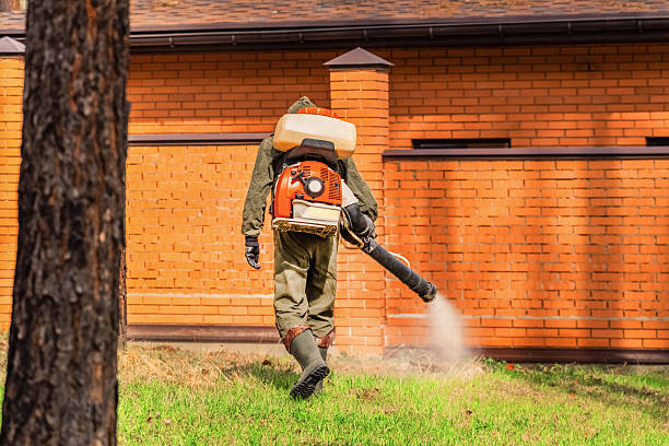 Trusted Ant Control service in Fort Madison, IA - Nex Pest Control